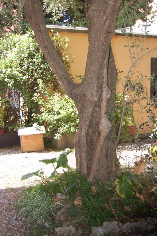 Bed and Breakfast Arena Alfieri Livorno Exterior foto