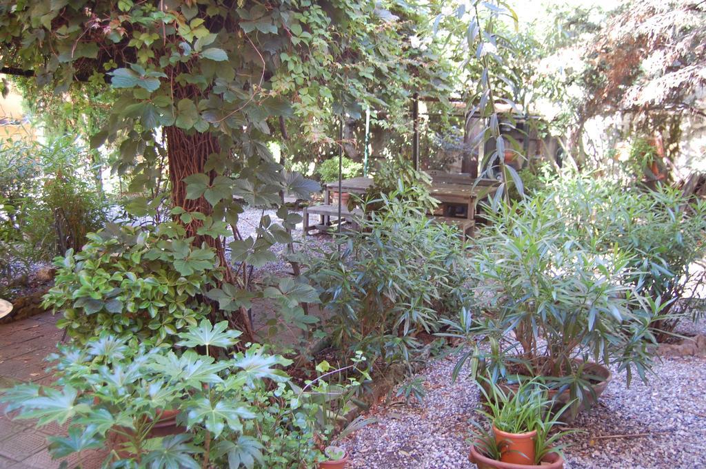 Bed and Breakfast Arena Alfieri Livorno Exterior foto