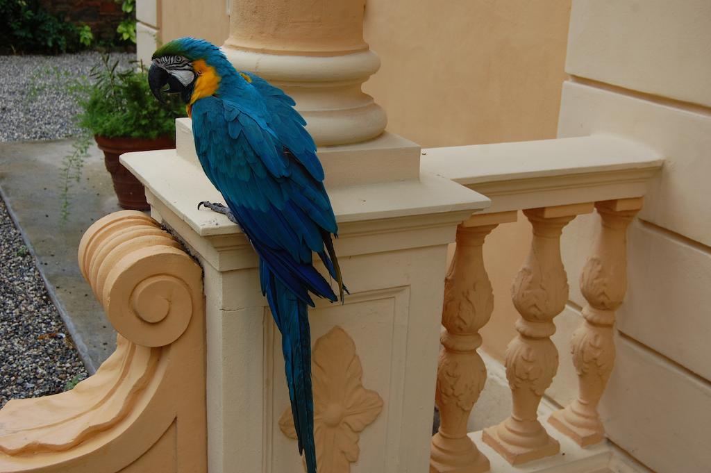 Bed and Breakfast Arena Alfieri Livorno Exterior foto